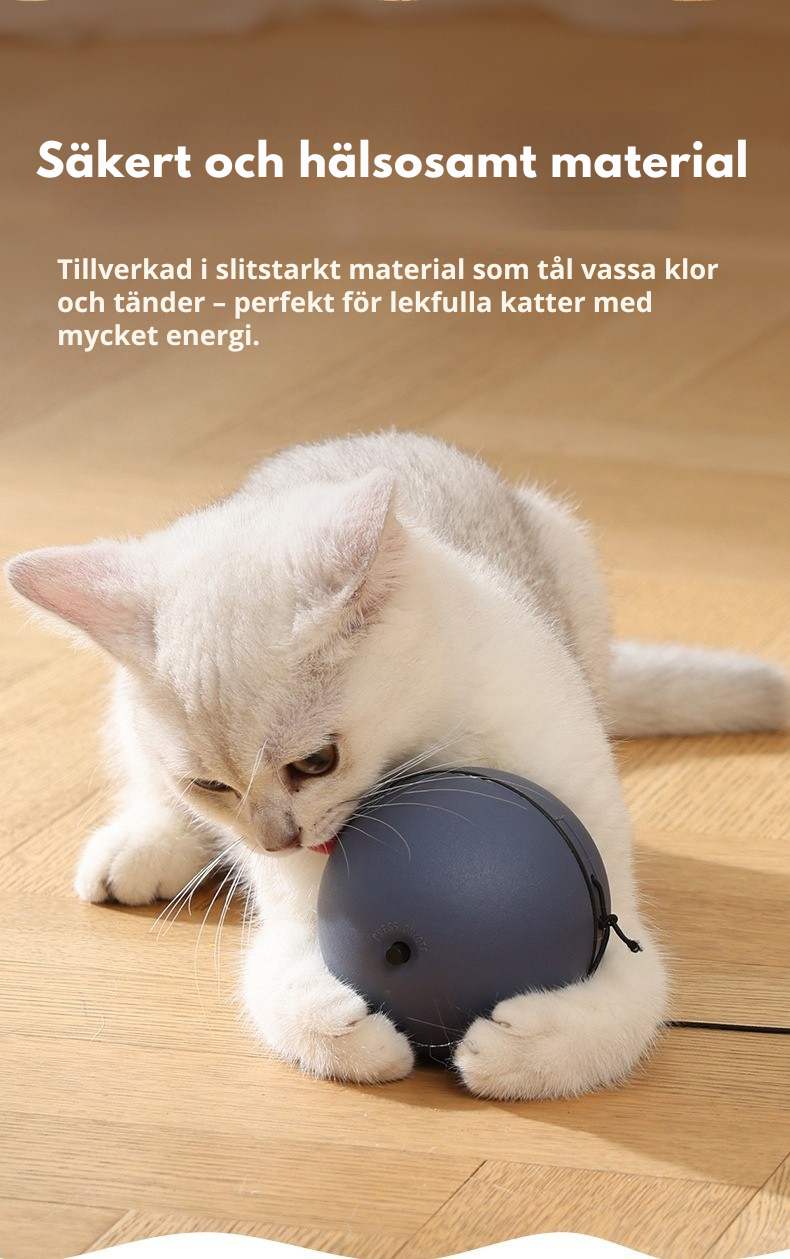 Rolig kattleksak