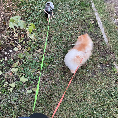 Hundkoppel för två
