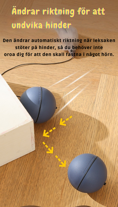Rolig kattleksak