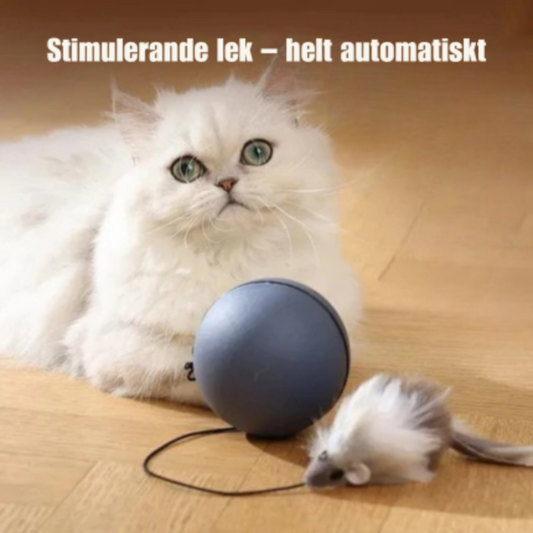 Rolig kattleksak